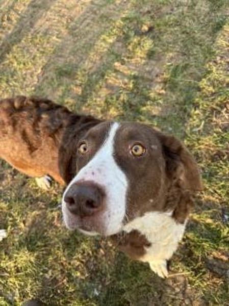 Grete sucht ihre Menschen