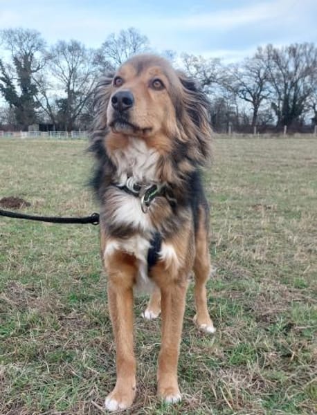 Zeus, jetzt Bernie - möchte ankommen