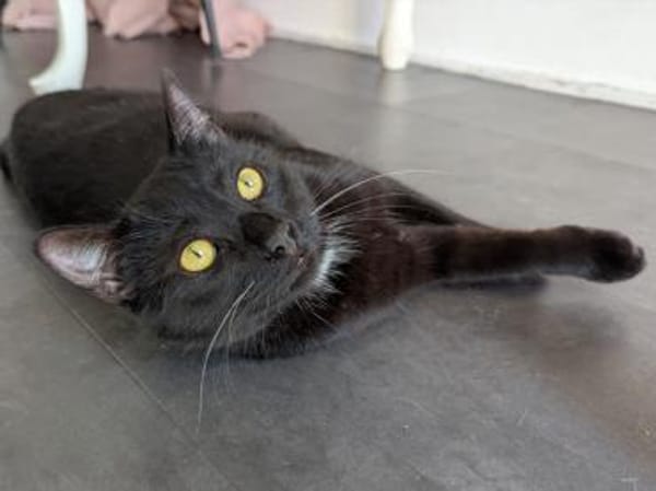 Bruno sucht engen Familienanschluss