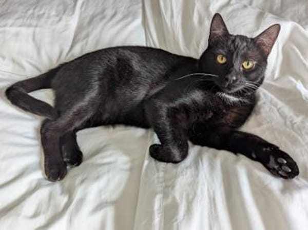 Bruno sucht engen Familienanschluss