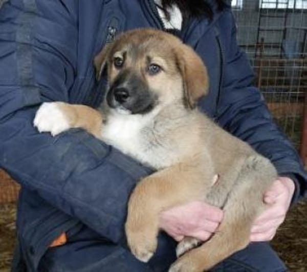 Nadja 30 cm (Feb 26) Pflegestelle