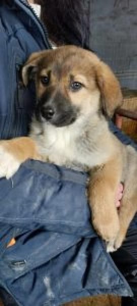 Nadja 30 cm (Feb 26) Pflegestelle