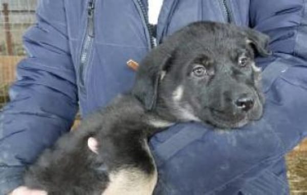 Nella 30 cm (Feb 26) Pflegestelle