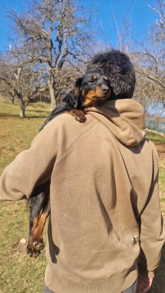 Priya-Anhänglicher Wirbelwind sucht Dich