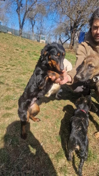 Priya-Anhänglicher Wirbelwind sucht Dich