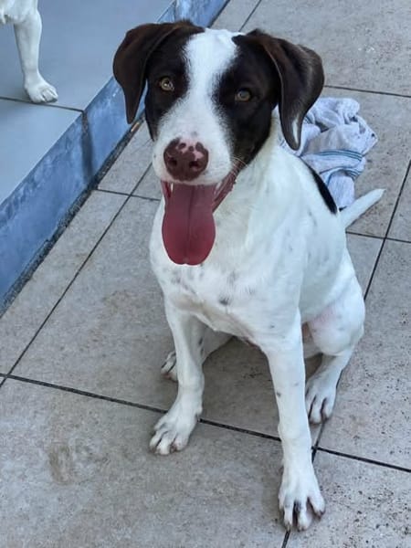 LOVELY attend sa famille pour la vie