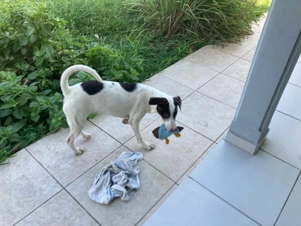 LOVELY attend sa famille pour la vie