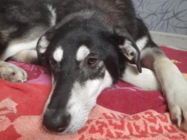 Huhu, ich bin Caspar ♥