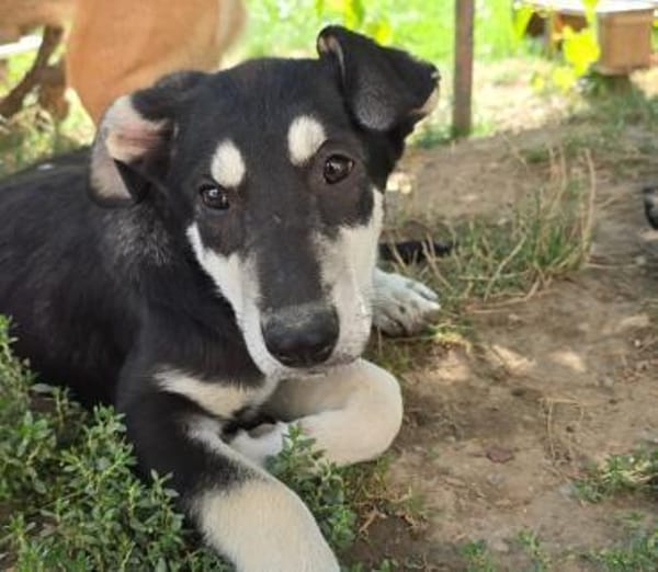 Huhu, ich bin Caspar ♥