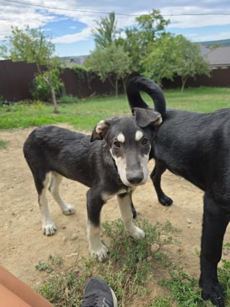 Huhu, ich bin Caspar ♥