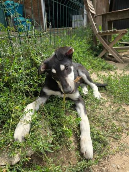 Huhu, ich bin Caspar ♥