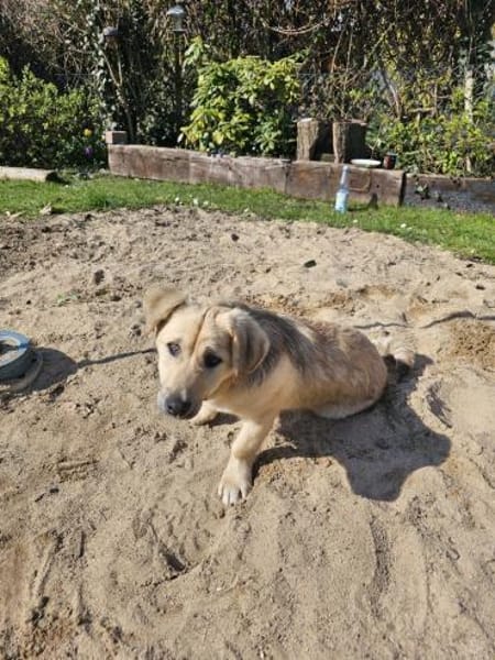 Jonathan Byers sucht sein Zuhause