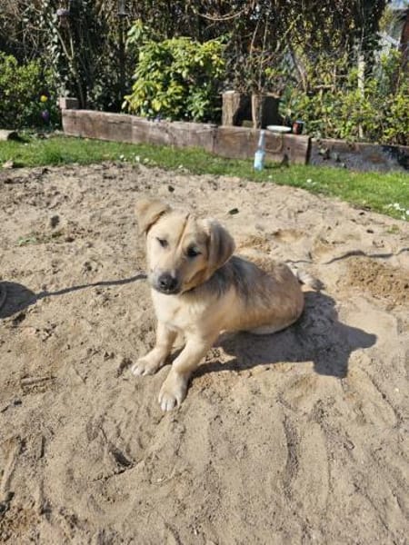 Jonathan Byers sucht sein Zuhause