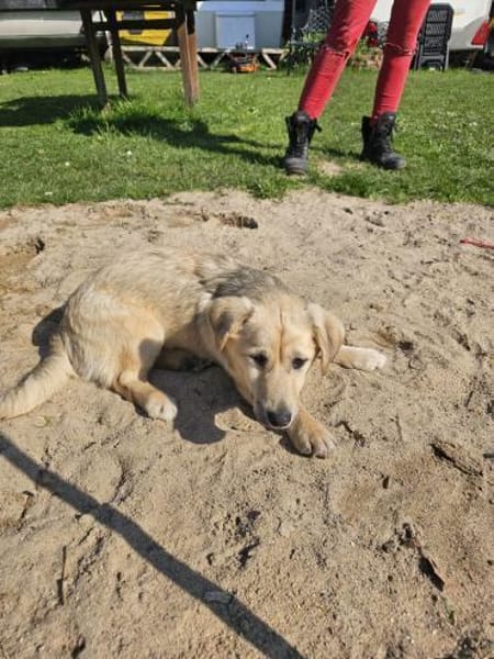 Jonathan Byers sucht sein Zuhause