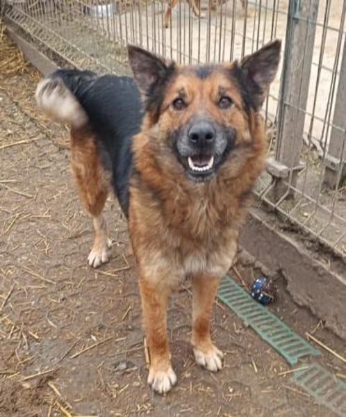 Liebenswerte Flora sucht euch