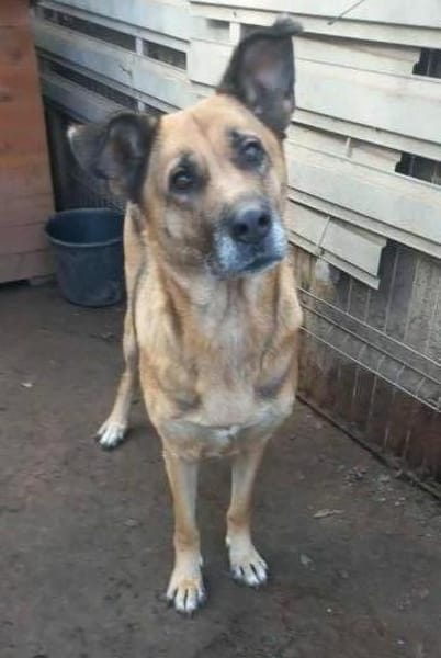 Ionica sanft und freundlich