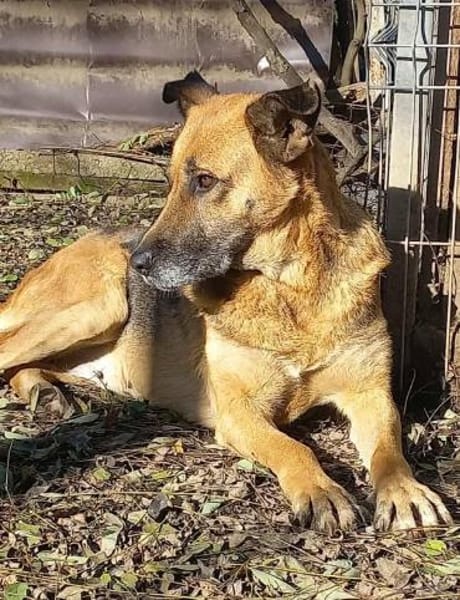 Ionica sanft und freundlich