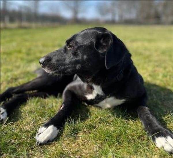 Funny- Charmante Abenteurerin