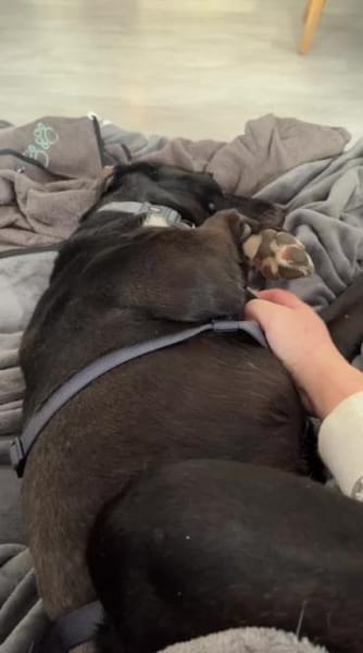 Funny- Charmante Abenteurerin