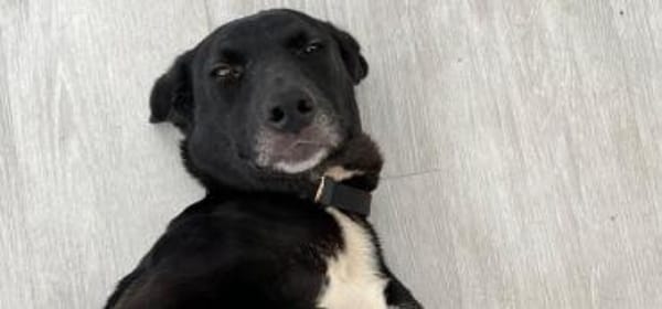 Funny- Charmante Abenteurerin