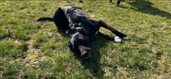 Funny- Charmante Abenteurerin