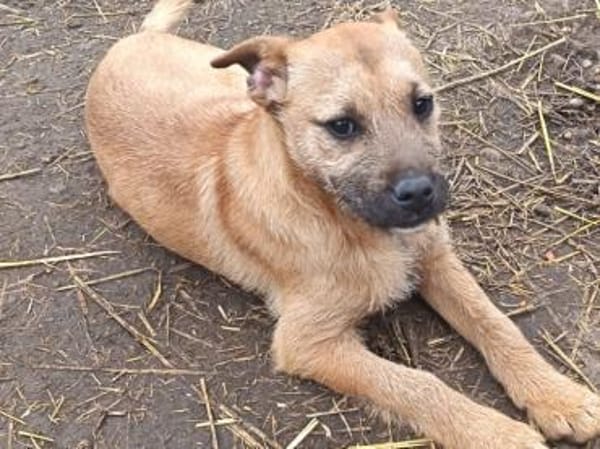 Lilly möchte nur Liebe schenken