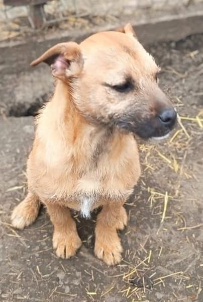 Lilly möchte nur Liebe schenken