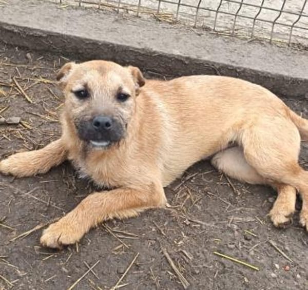 Lilly möchte nur Liebe schenken