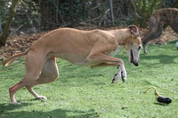 Nerea - ein feines und liebes Mädchen