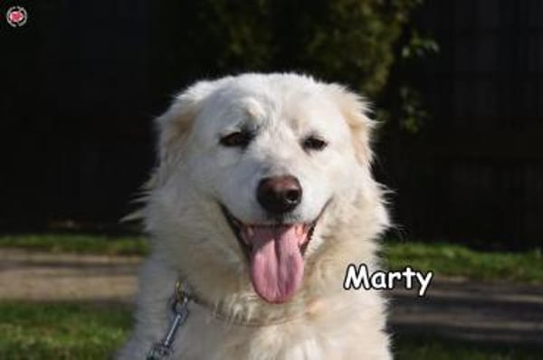 MARTY