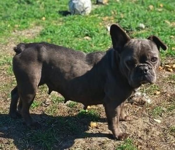 Fiona möchte nur geliebt werden