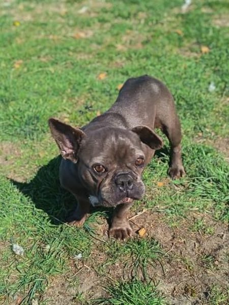 Fiona möchte nur geliebt werden