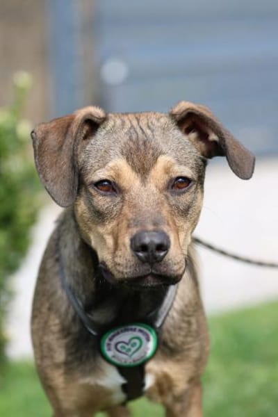 Mel möchte mit Dir die Welt entdecken.