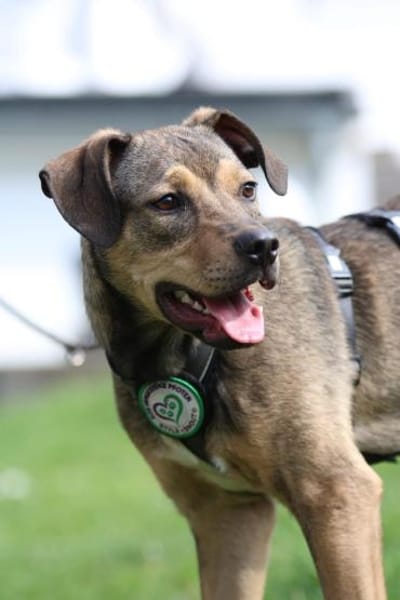 Mel möchte mit Dir die Welt entdecken.