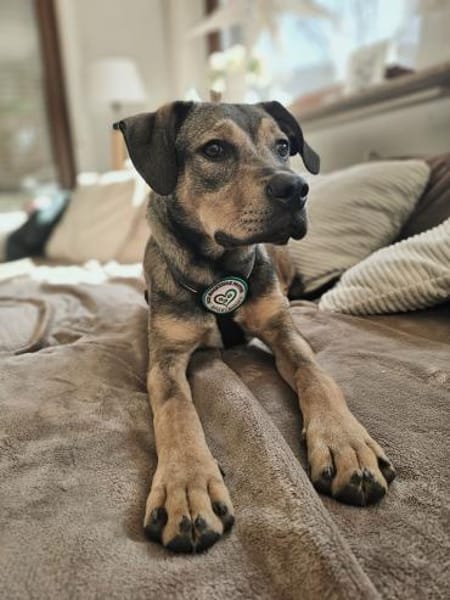 Mel möchte mit Dir die Welt entdecken.