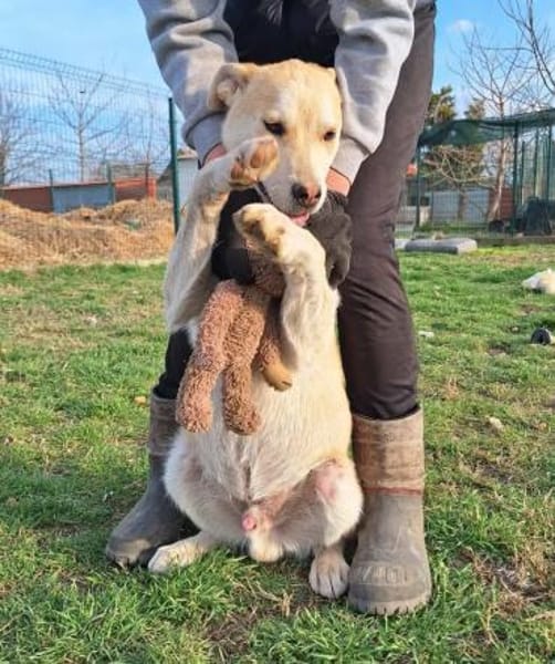 Arthur ist eine Frohnatur