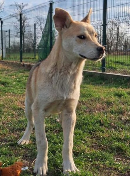 Arthur ist eine Frohnatur