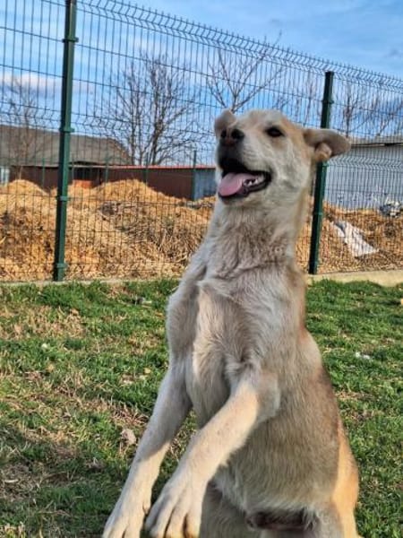 Arthur ist eine Frohnatur