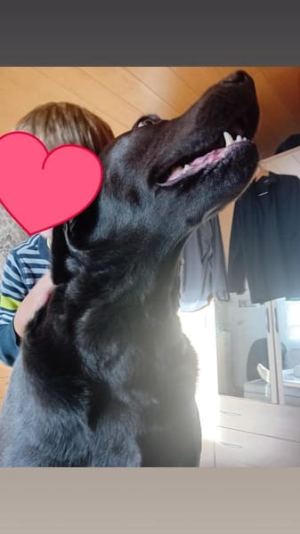 Bandit - Hundekenner aufgepasst!