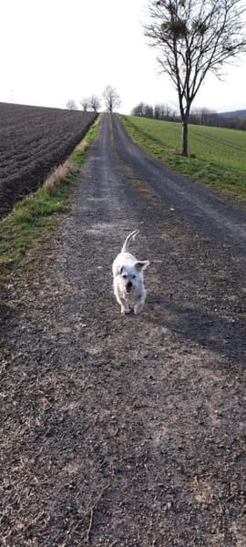 Lucky liebt es zu kuscheln