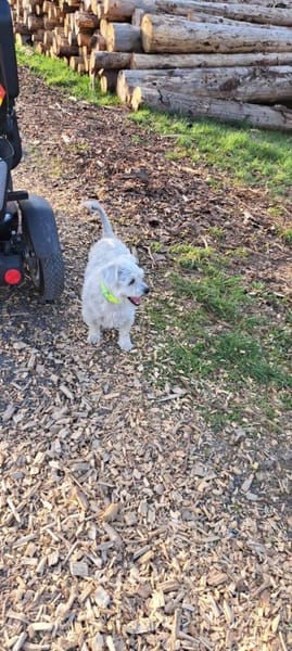 Lucky liebt es zu kuscheln