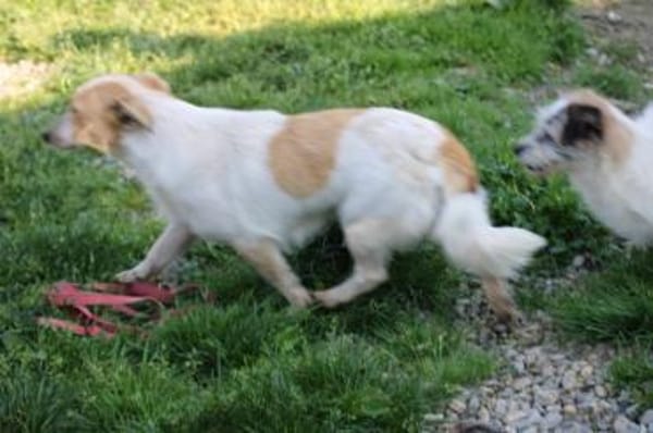 Noya - zutraulich u. unkompliziert