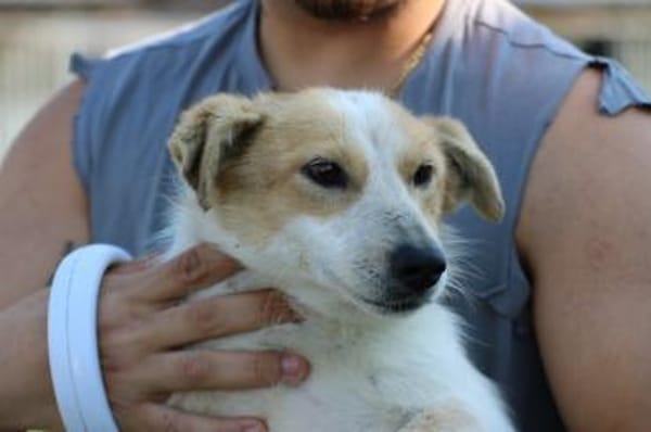 Noya - zutraulich u. unkompliziert