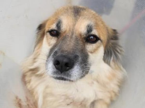 Neele ist so offen, föhlich + so lieb!