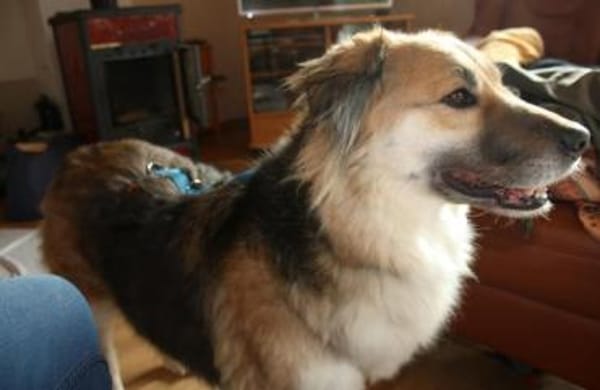 Neele ist so offen, föhlich + so lieb!