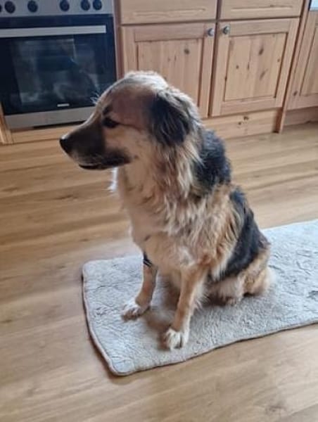 Neele ist so offen, föhlich + so lieb!