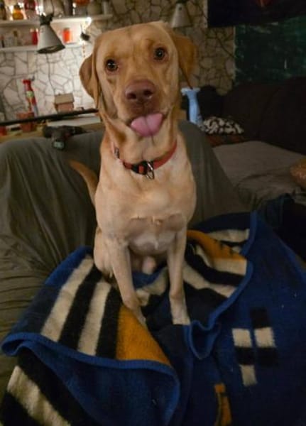 Karsten - ein lieber großer Bub