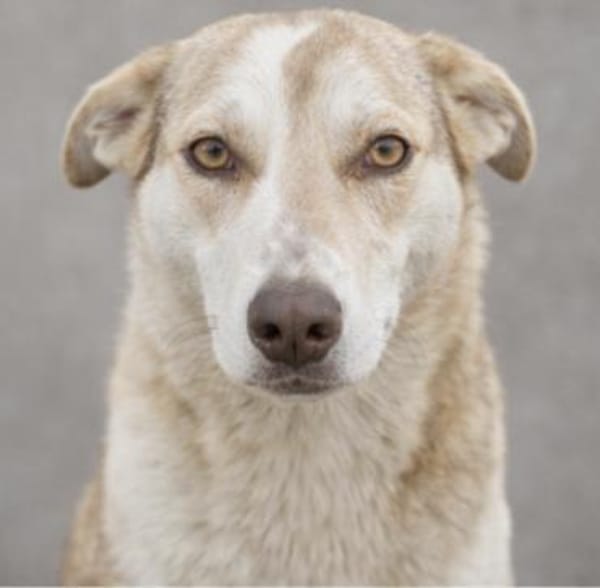 Sunny möchte strahlen