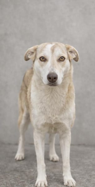 Sunny möchte strahlen