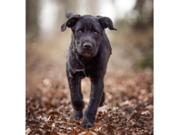 Palma möchte Ihnen Freude bereiten